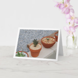 Tarjeta Plantas Suculentas en Retrato de Pared de Jardín
