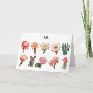 Tarjeta Plantas suculentas florecientes