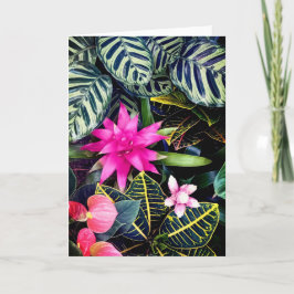 Tarjeta Plantas tropicales
