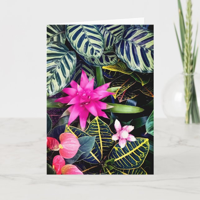 Tarjeta Plantas tropicales (Anverso)