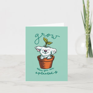 Tarjeta Planty Pup: Crecer