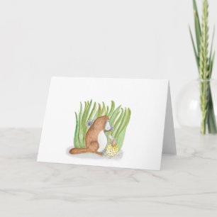 Tarjeta Platypus