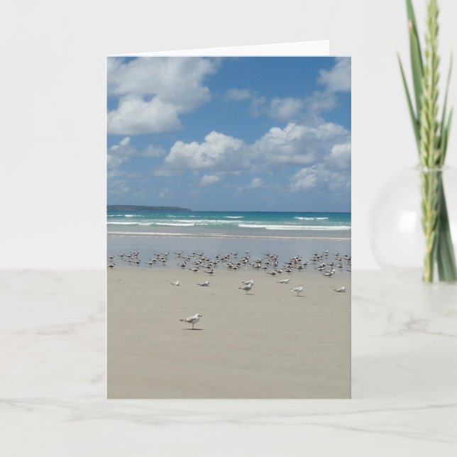 Tarjeta Playa con Gaviotas (Anverso)