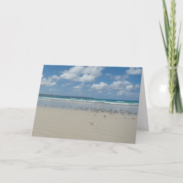 Tarjeta Playa con Gaviotas (Anverso)