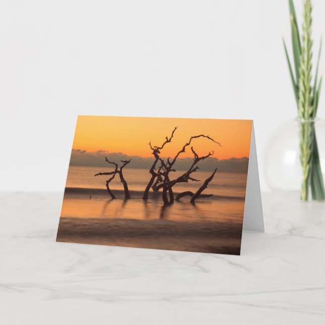 Tarjeta Playa de Driftwood en Sunrise Jekyll Island Georgi (Anverso)
