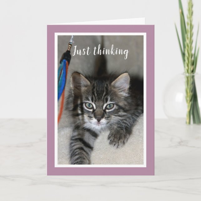 Tarjeta Playful Kitten Friendship Card (Anverso)