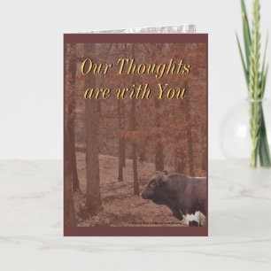 Tarjeta PLB Condolencia-o cualquier ocasión