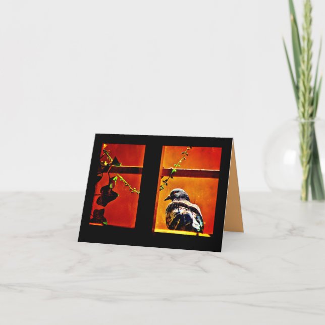 Tarjeta Pleasant Pigeon (Anverso)