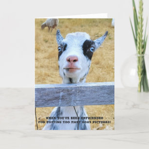 Tarjeta plegada de 5"x7" Cabra sin amigos