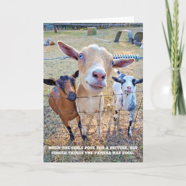 Tarjeta plegada de 5"x7" || Enfoque de alimentos (Anverso)