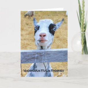 Tarjeta plegada de 5"x7"    Felicitaciones, Cabra