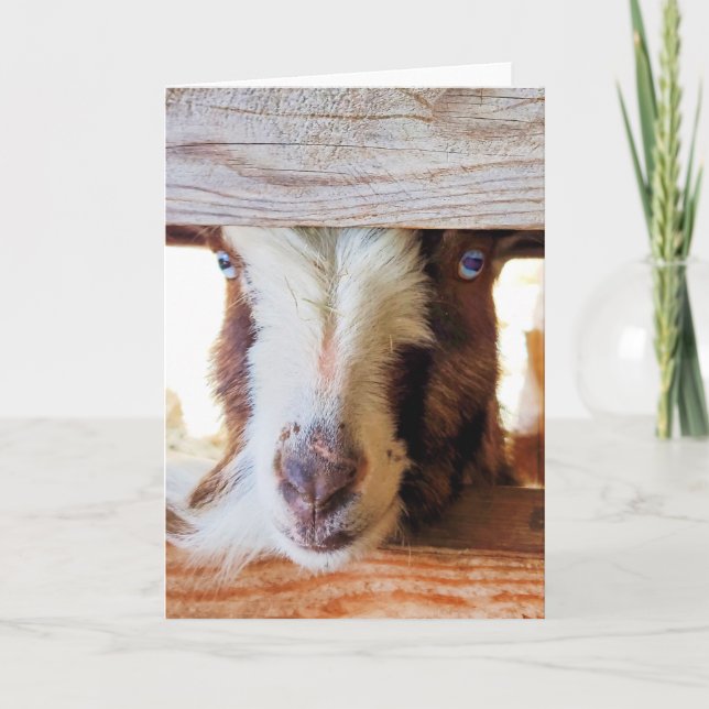 Tarjeta plegada de 5"x7" || Jigsaw Guilt Trip (Anverso)