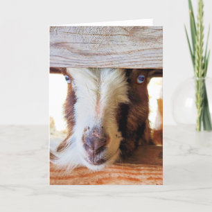 Tarjeta plegada de 5"x7"    Jigsaw Guilt Trip
