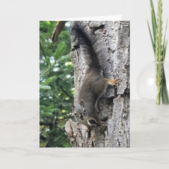 Tarjeta plegada de 5"x7" || Pintura fotográfica de (Anverso)