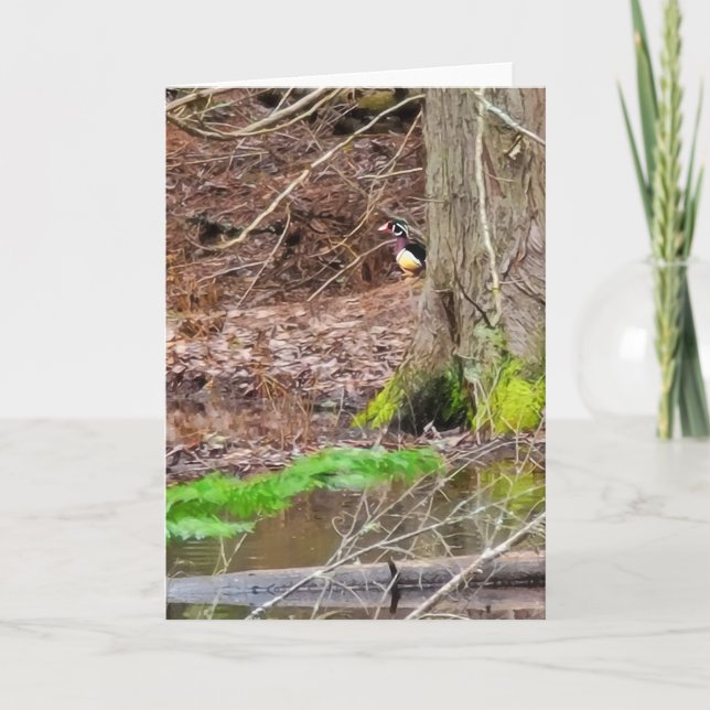 Tarjeta plegada de 5"x7" || Shy Wood Duck (Anverso)