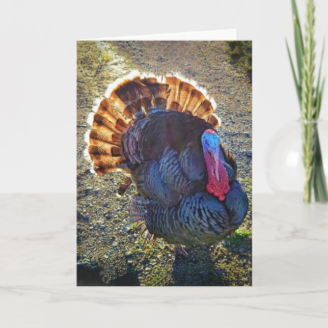 Tarjeta plegada de 5"x7" || Sunrise Thomas (Anverso)