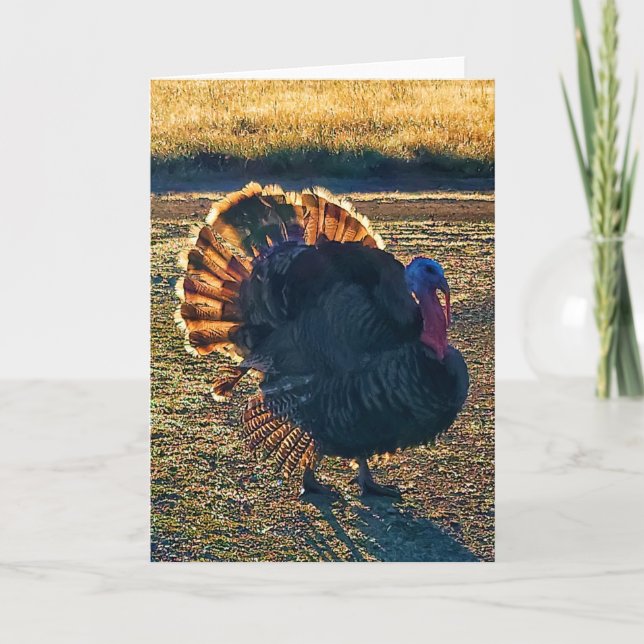 Tarjeta plegada de 5"x7" || Thomas a-Struttin" (Anverso)