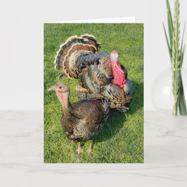 Tarjeta plegada de 5"x7" || Thomas y Henrietta (Anverso)