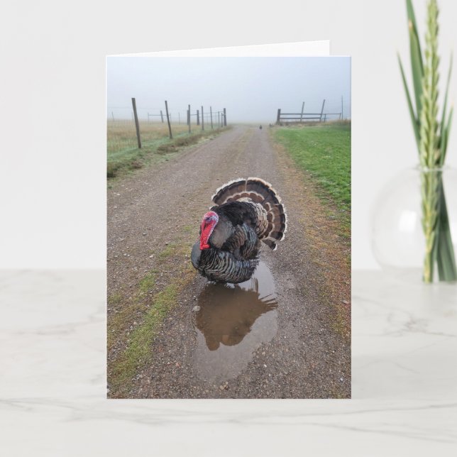 Tarjeta plegada de 5"x7" || Turquía en la niebla (Anverso)