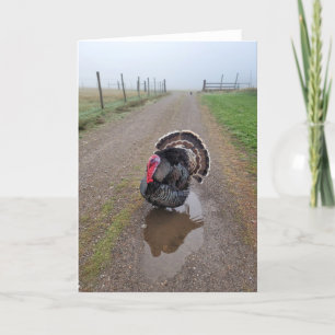 Tarjeta plegada de 5"x7"    Turquía en la niebla