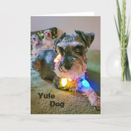Tarjeta plegada de 5"x7" || Yule Dog