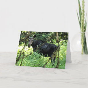 Tarjeta plegada de 7"x5" Almuerzo de alce v5
