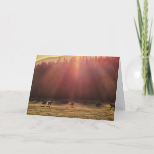 Tarjeta plegada de 7"x5"    Elk Red Dawn