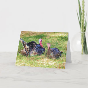 Tarjeta plegada de 7"x5" Gobble