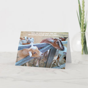 Tarjeta plegada de 7"x5"    ¡Hey-Hay! ¿Dónde está