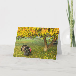 Tarjeta plegada de 7"x5"    Turquía bajo el árbol