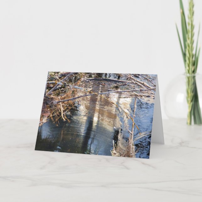 Tarjeta plegada de 7" x 5"|| Pond Pollen Scum (Anverso)