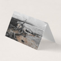 Tarjeta plegada de las fuerzas naturales del lago 