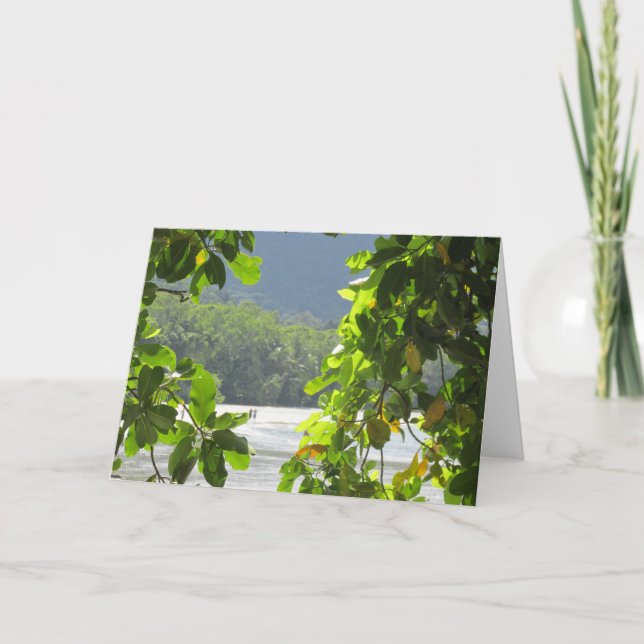 Tarjeta plegada de tributación de Cabo (Anverso)