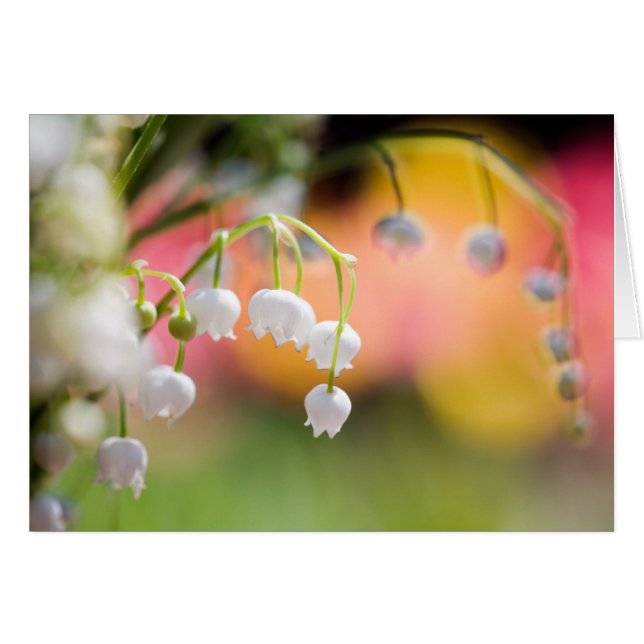 Tarjeta plegada Lily of the Valley (Anverso (Horizontal))