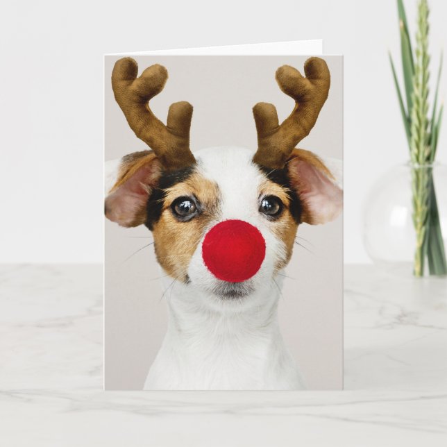 Tarjeta plegada para NAVIDADES JACK RUSSEL TERRIER (Anverso)