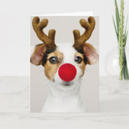 Tarjeta plegada para NAVIDADES JACK RUSSEL TERRIER