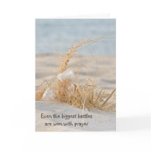 Pluma Blanca En El Campo De La Playa