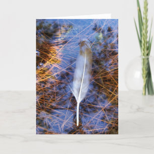Tarjeta Pluma de Garza
