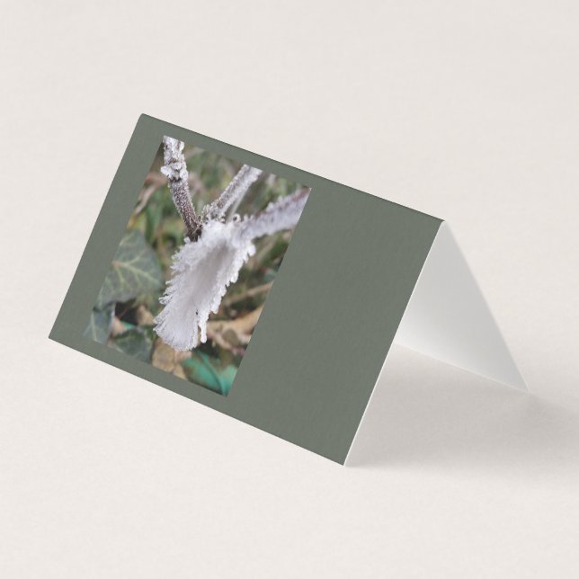 Tarjeta plumas congeladas (Anverso)