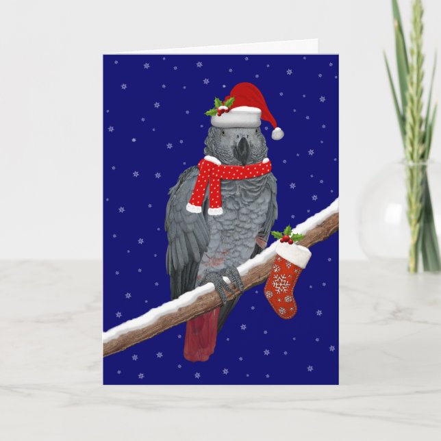 Tarjeta Plumas Festivas (Anverso)