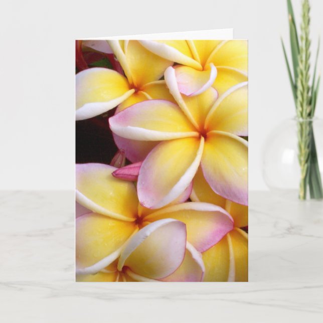 Tarjeta Plumeria (Anverso)