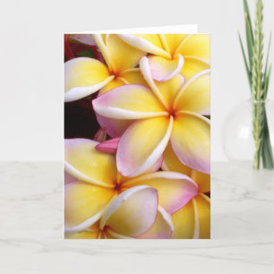 Tarjeta Plumeria