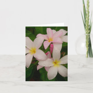 Tarjeta Plumeria en la lluvia