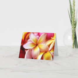 Tarjeta Plumeria Frangipani Hawaii Flor en blanco personal