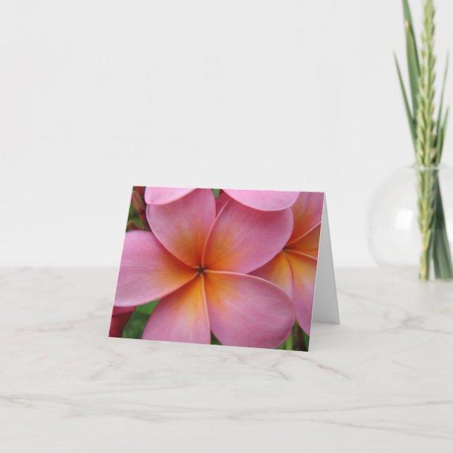 Tarjeta Plumeria rosado Notecard (Anverso)