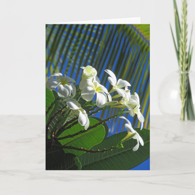 Tarjeta Plumeria y Palm (Anverso)