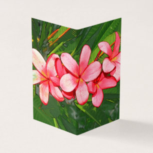 Tarjeta Plumerias