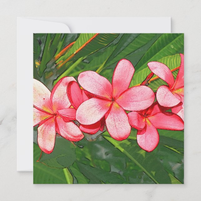 Tarjeta Plumerias (Anverso)