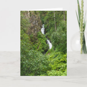 Tarjeta Plush Thunderbird Painterly