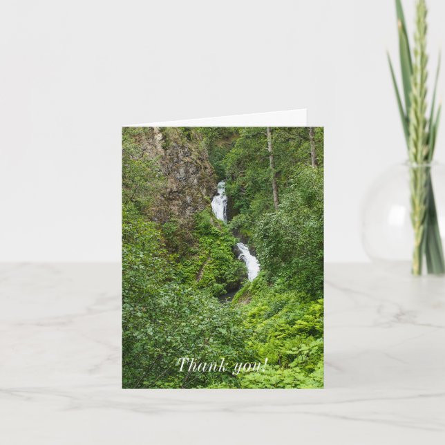 Tarjeta Plush Thunderbird Painterly Gracias (Anverso)